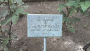 Mary T. Fagan Memorial