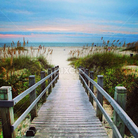 Hilton Head, SC. by John Hayes - Landscapes Beaches