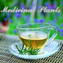 Medicinal Plants