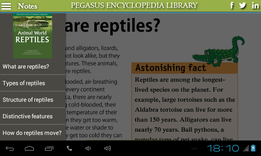 Animal World-Reptiles