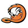 Long Island Ducks