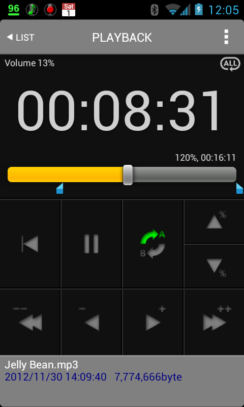 All That Recorder - screenshot