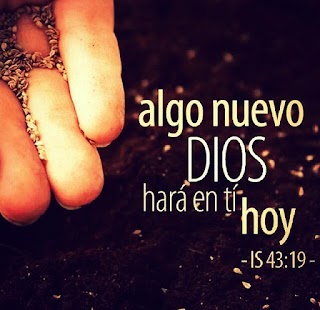 Free Download Radio Maranatha APK for PC