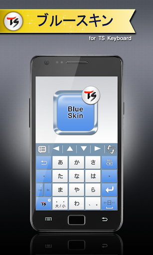 ブルースキンfor TSキーボード