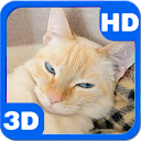 Slumbering Cat in Basket Purrs mobile app icon