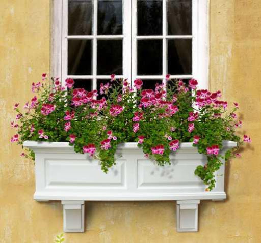 Window Box Design