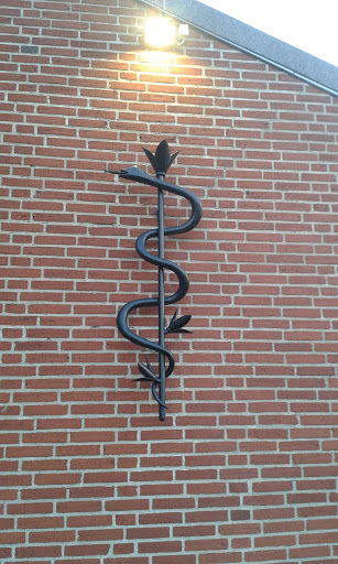 Slangen På Væggen
