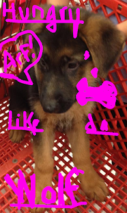 Free Decorate Any Image or Selfie APK