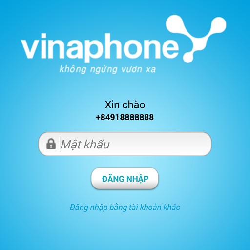 VinaPhone BSS