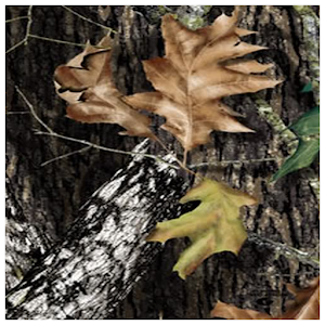 Mossy Oak Brown Theme.apk 1.0.4