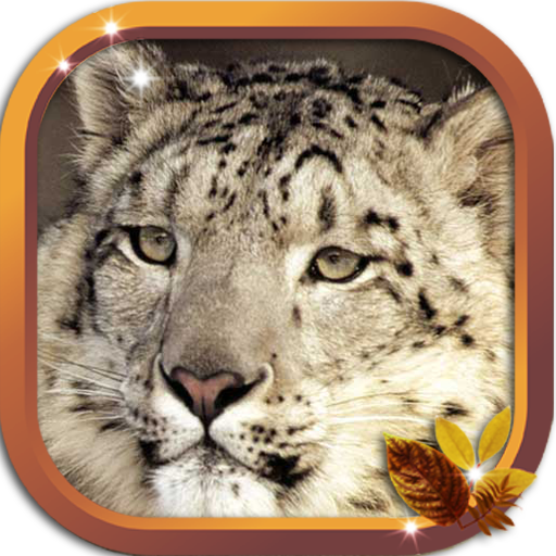 Snow Leopard HD live wallpaper LOGO-APP點子