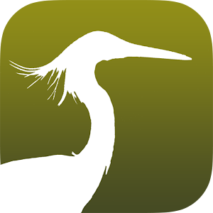 Common Birds of Hong Kong 9