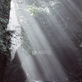 by Dwi Nurcahyo - Uncategorized All Uncategorized