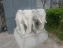 Twin Elephants