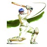 Cricket 2017 Game icon