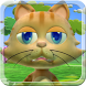 Talking Cat