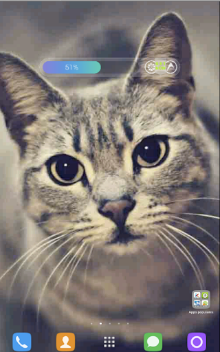 【免費個人化App】Cat Wallpapers-APP點子