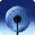 Top20 SMS Ringtones icon