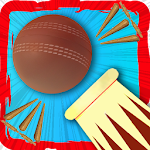 Cover Image of Download Crash Bang Cricket 1.0 APK