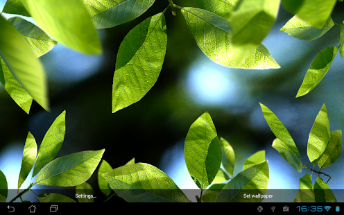Fresh Leaves - screenshot thumbnail