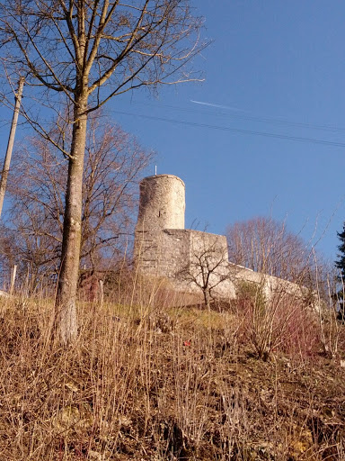 Schloss Oberbipp