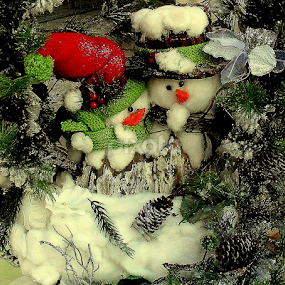 by Mariana Bešker - Public Holidays Christmas