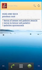 Pocket Atlas of Anatomy TR