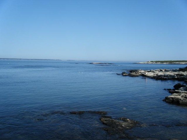 [View from bridge[2].jpg]