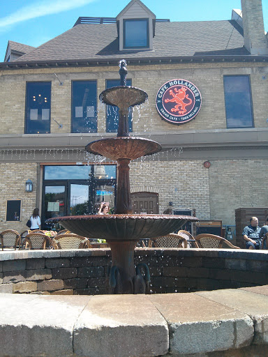 Cafe Hollander Fountain