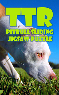How to download Pitbull Sliding Puzzle 0.2 mod apk for pc