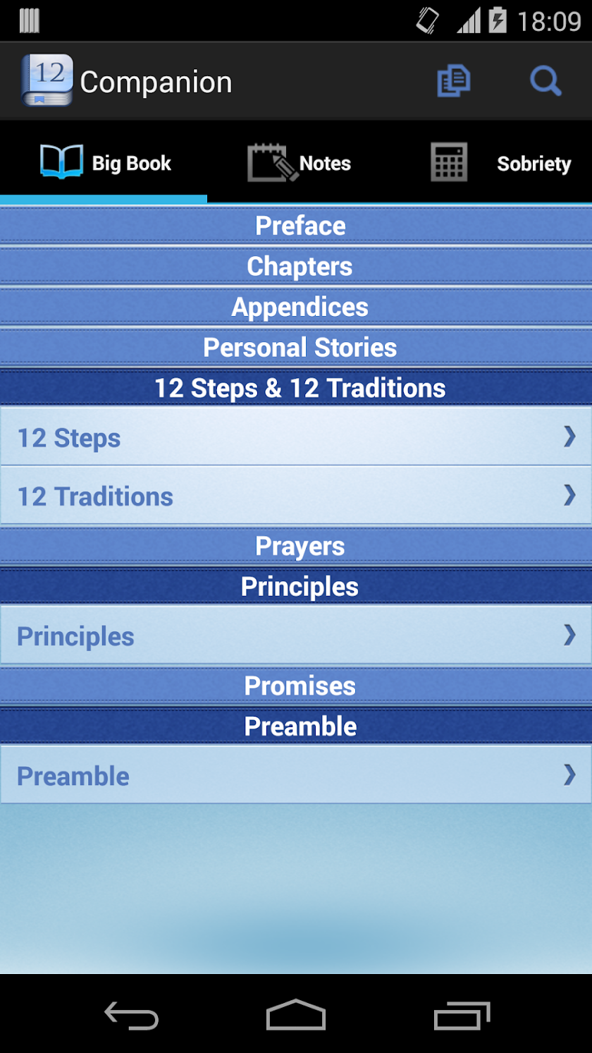 12 Steps AA Companion Screen 2
