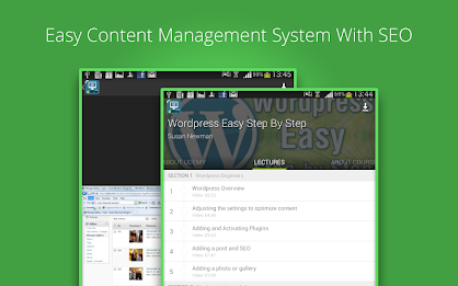 Learn Wordpress SEO poster 9