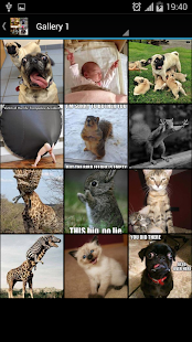 Funny Picture Ideas Screenshots 3