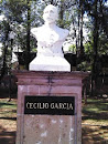 Busto Cecilio García