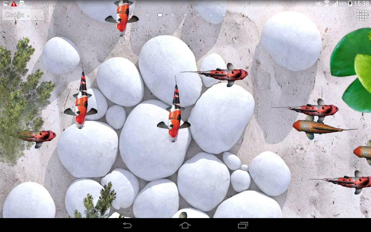 Koi Fish Aquarium Live Wallpaper 3D Apl Android Di Google Play