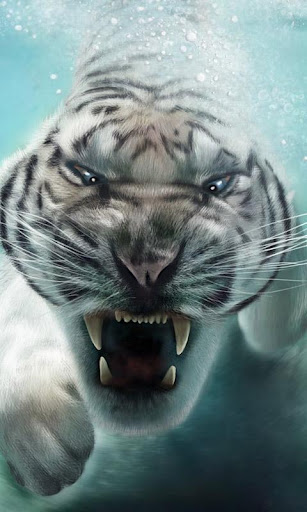 Diving Tiger Live Wallpaper