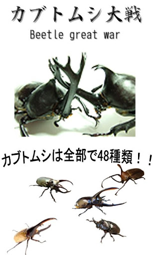 Beetle Wars