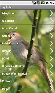 How to mod Bird Sounds patch 1.2.3 apk for laptop