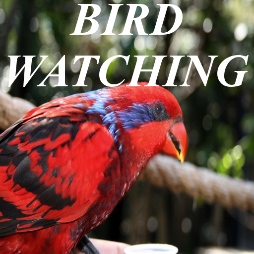 Bird Watching LOGO-APP點子