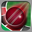 Roulette Cricket logo