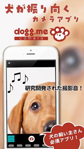 dogg.me camera ドッグミーカメラ 犬専用カメラ