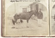 Portret van een Chinese man met een paard aan de hand, genaamd Nondont