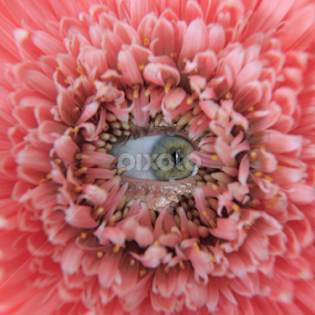 As plantas me vigiam no jardim by Breno Teixeira - Digital Art Abstract