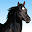 RaceApp Download on Windows