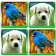Fun With Animals Matching Game icon