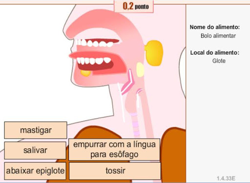 Sistema Digestório