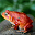 Frog Jigsaw Puzzle Download on Windows
