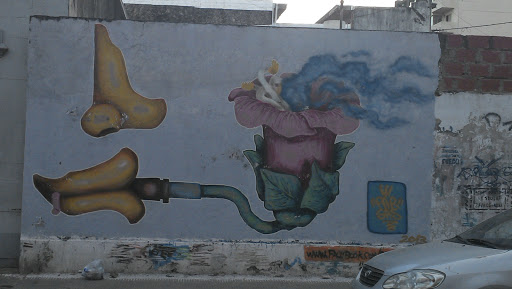 Mural Pipa De Flor