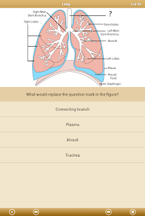 Know Your Body Screenshots 3