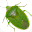 Stink Bug Decision Aid Download on Windows